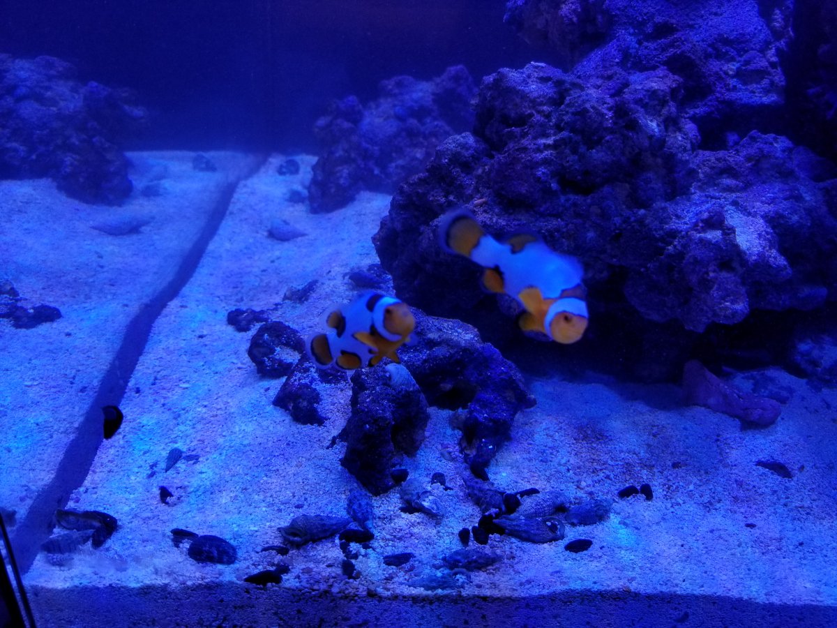 20180202_175632.jpg