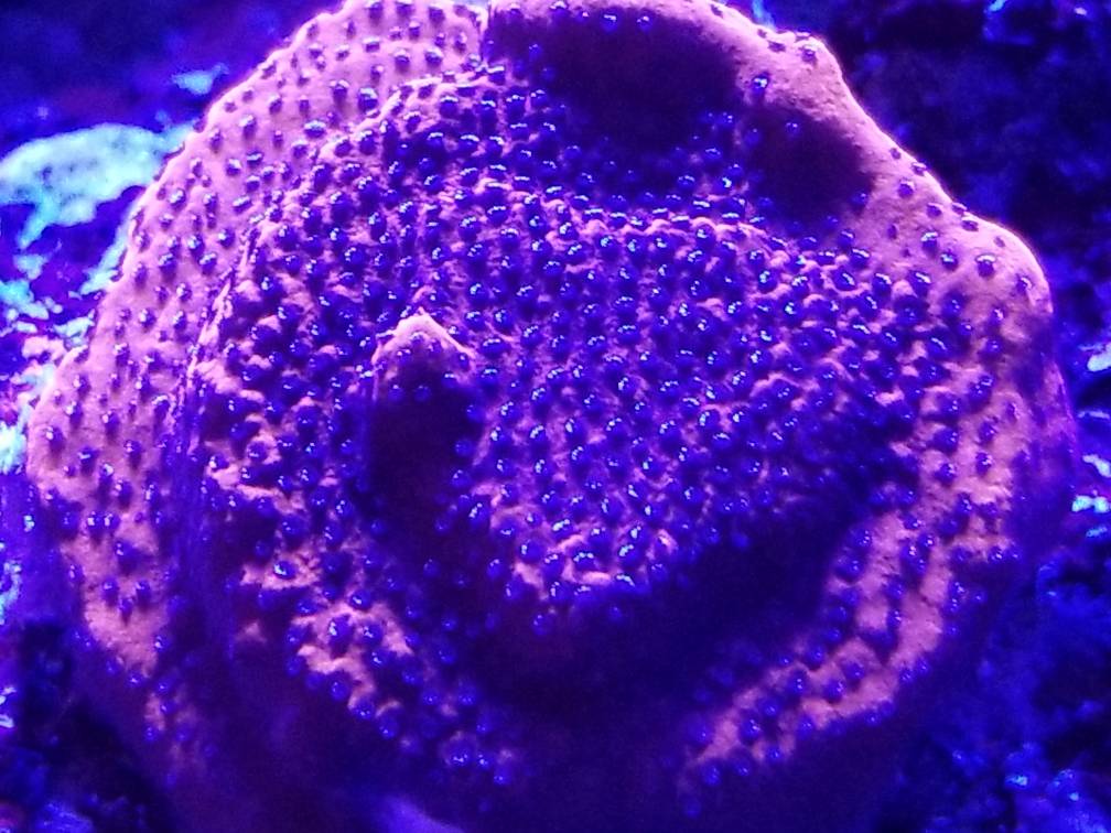 20180204_192102.jpg