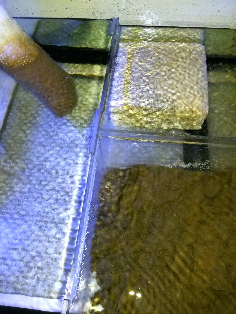 20180205_082536.jpg