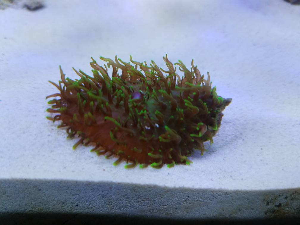 20180206_091736.jpg