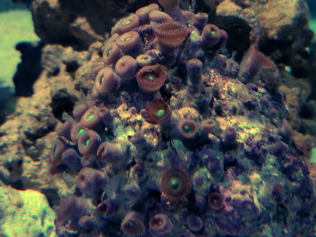 20180207_164714.jpg
