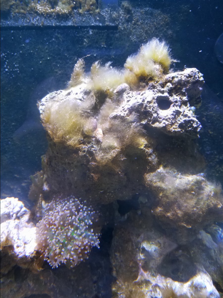 20180207_185651.jpg