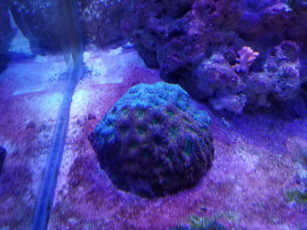 20180208_175108.jpeg