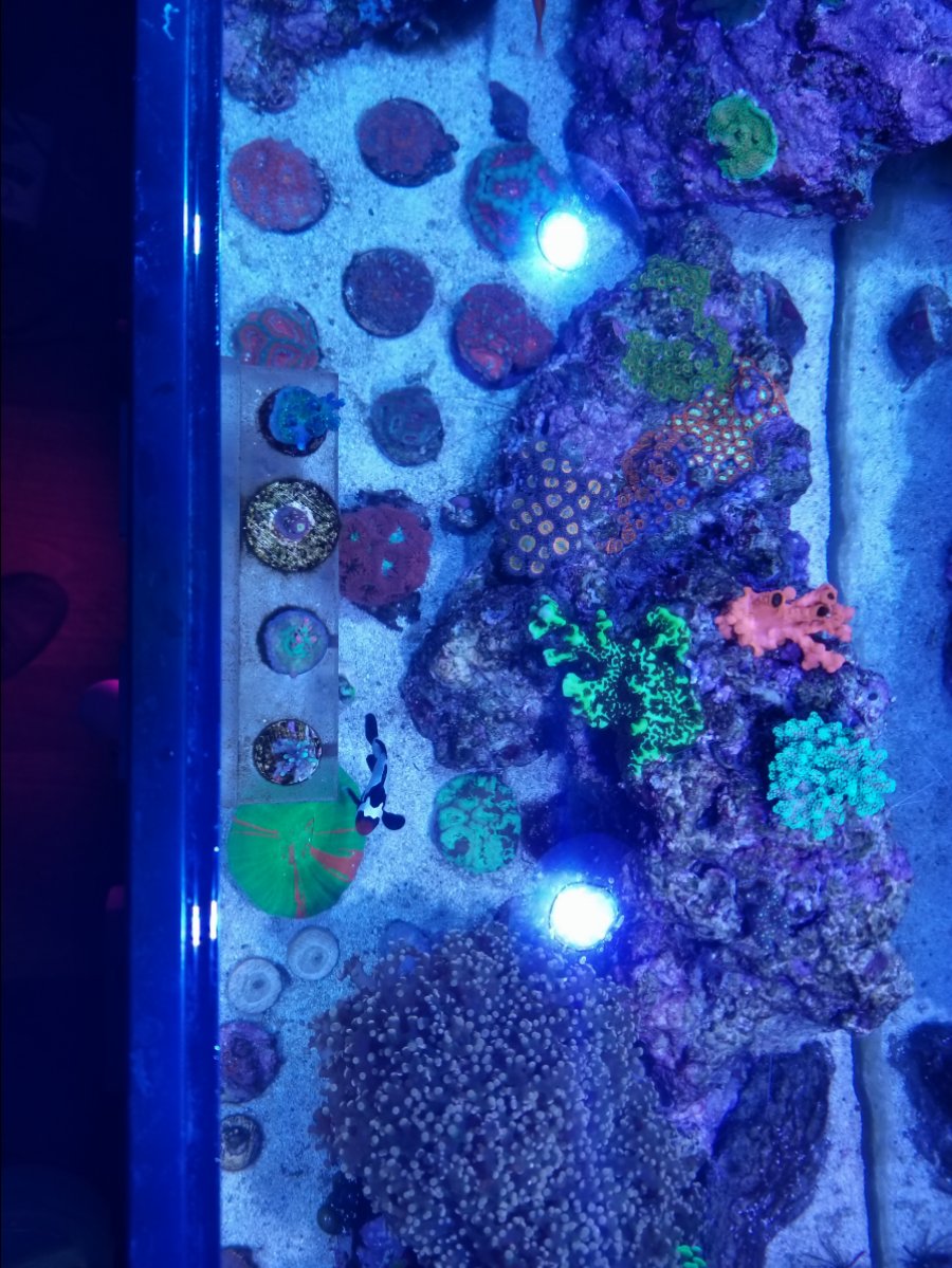 20180213_171838.jpg