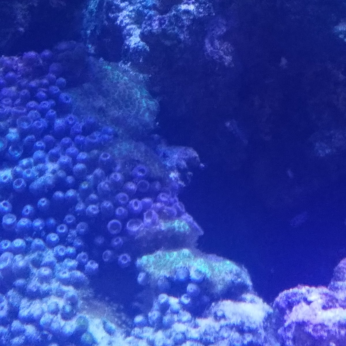20180215_203441.jpg