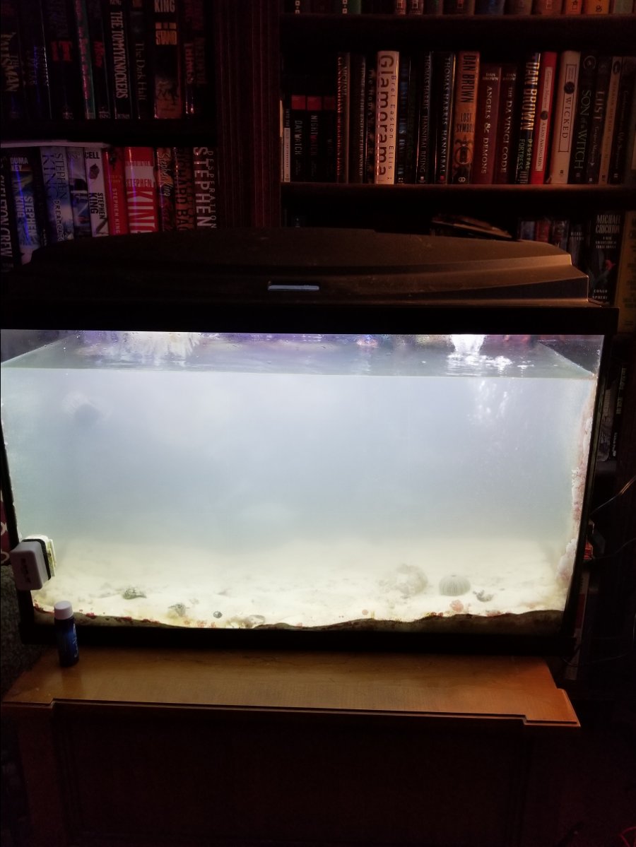 20180216_164622.jpg