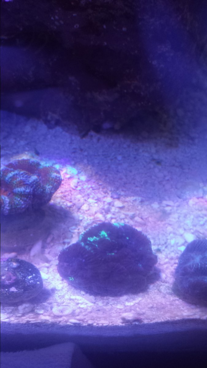 20180221_091645.jpg