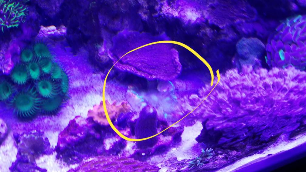 20180221_185456.jpg
