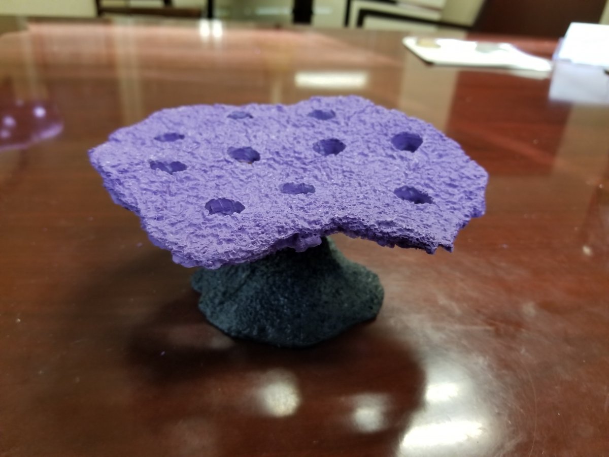 20180222_145232.jpg