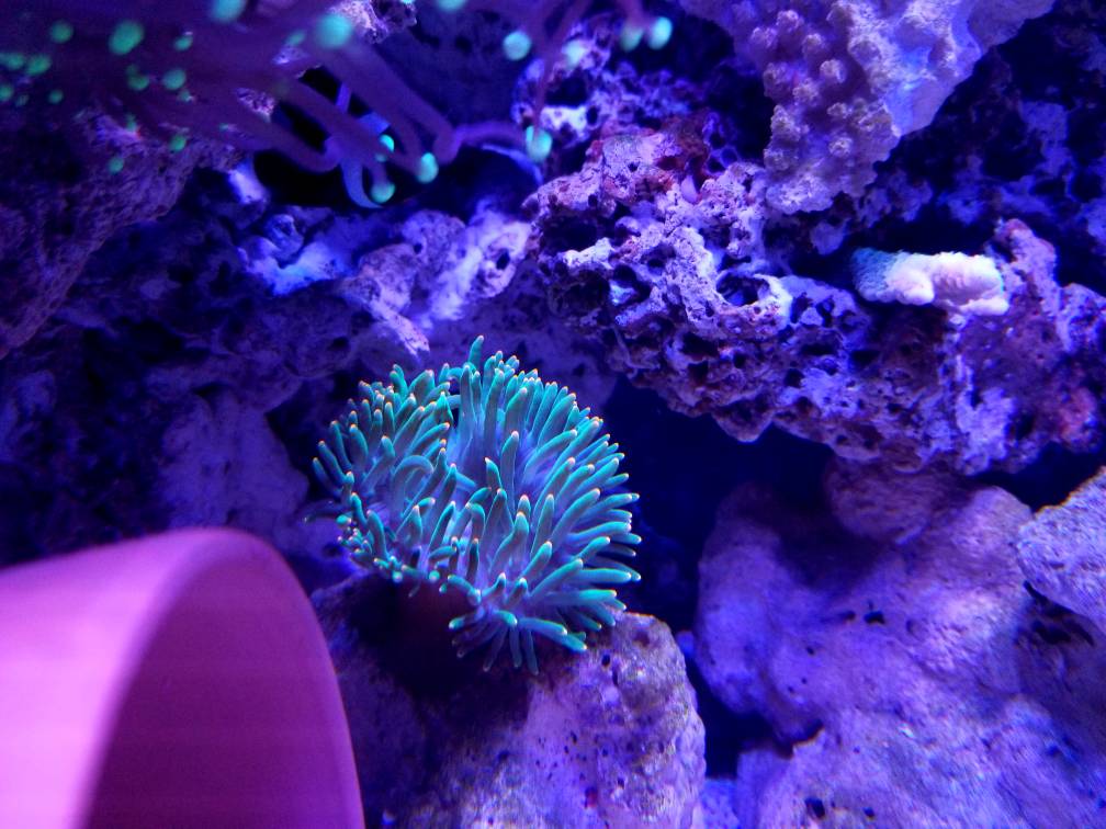 20180225_124825.jpg