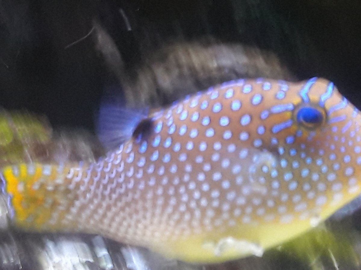 20180226_061530.jpg