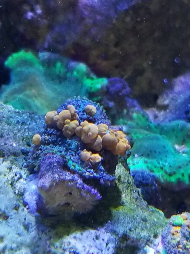 20180226_141915.jpg