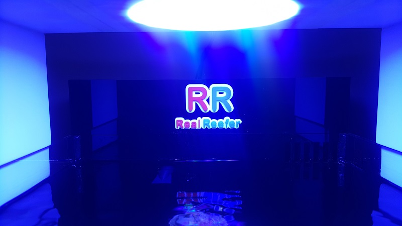 201802_11.jpg