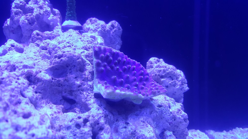 201802_16.jpg
