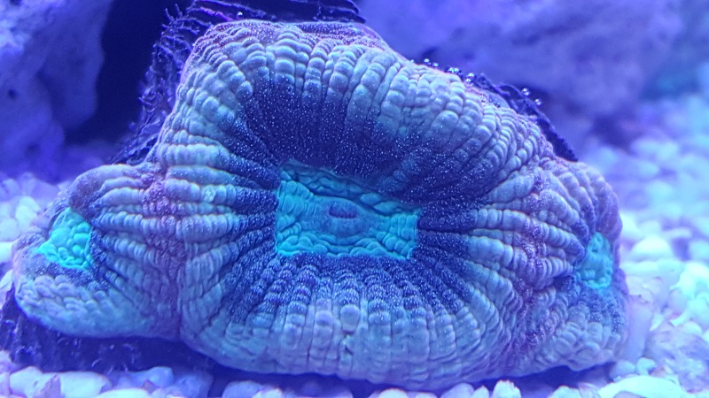 201802_17.jpg