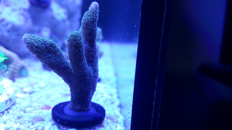 201802_21.jpg