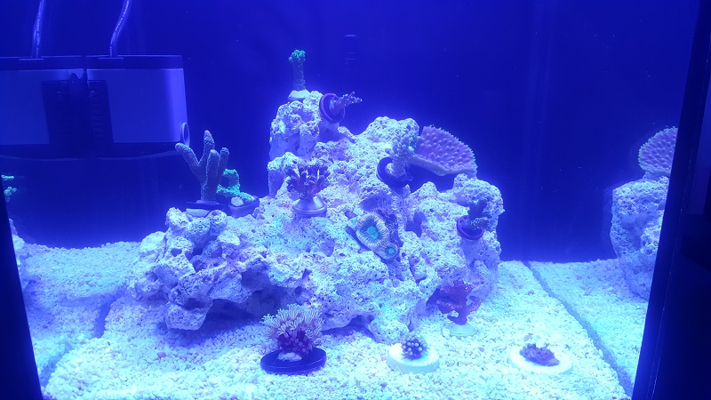 201802_22.jpg