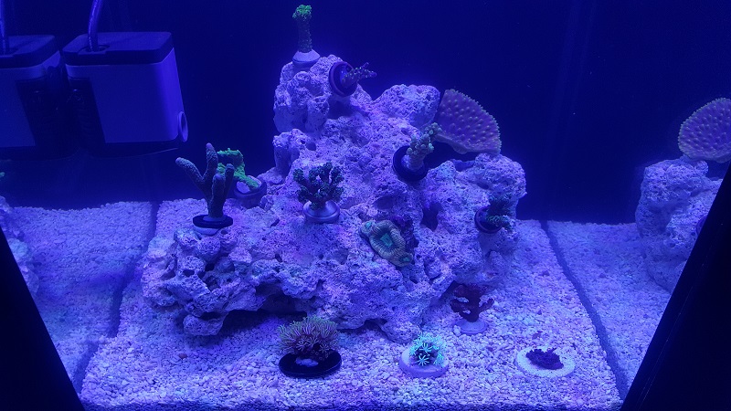 201802_23.jpg
