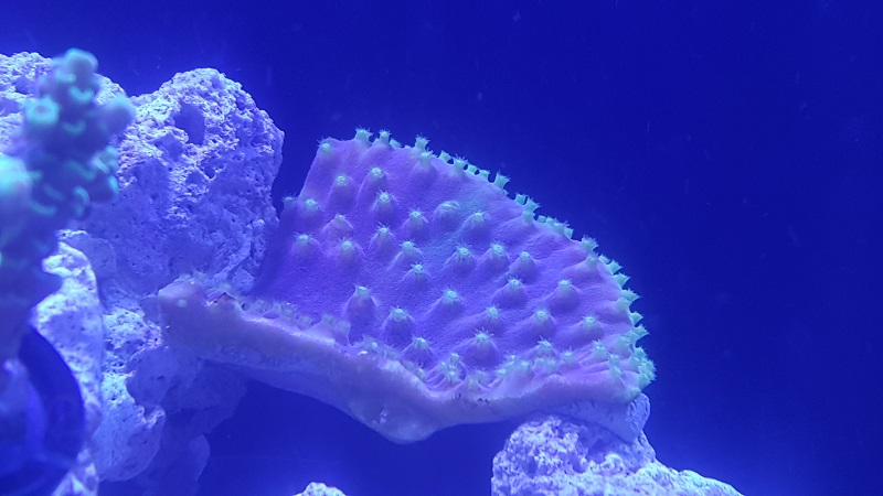 201802_24.jpg