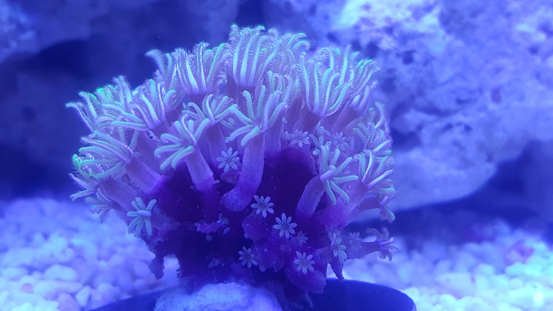 201802_27.jpg