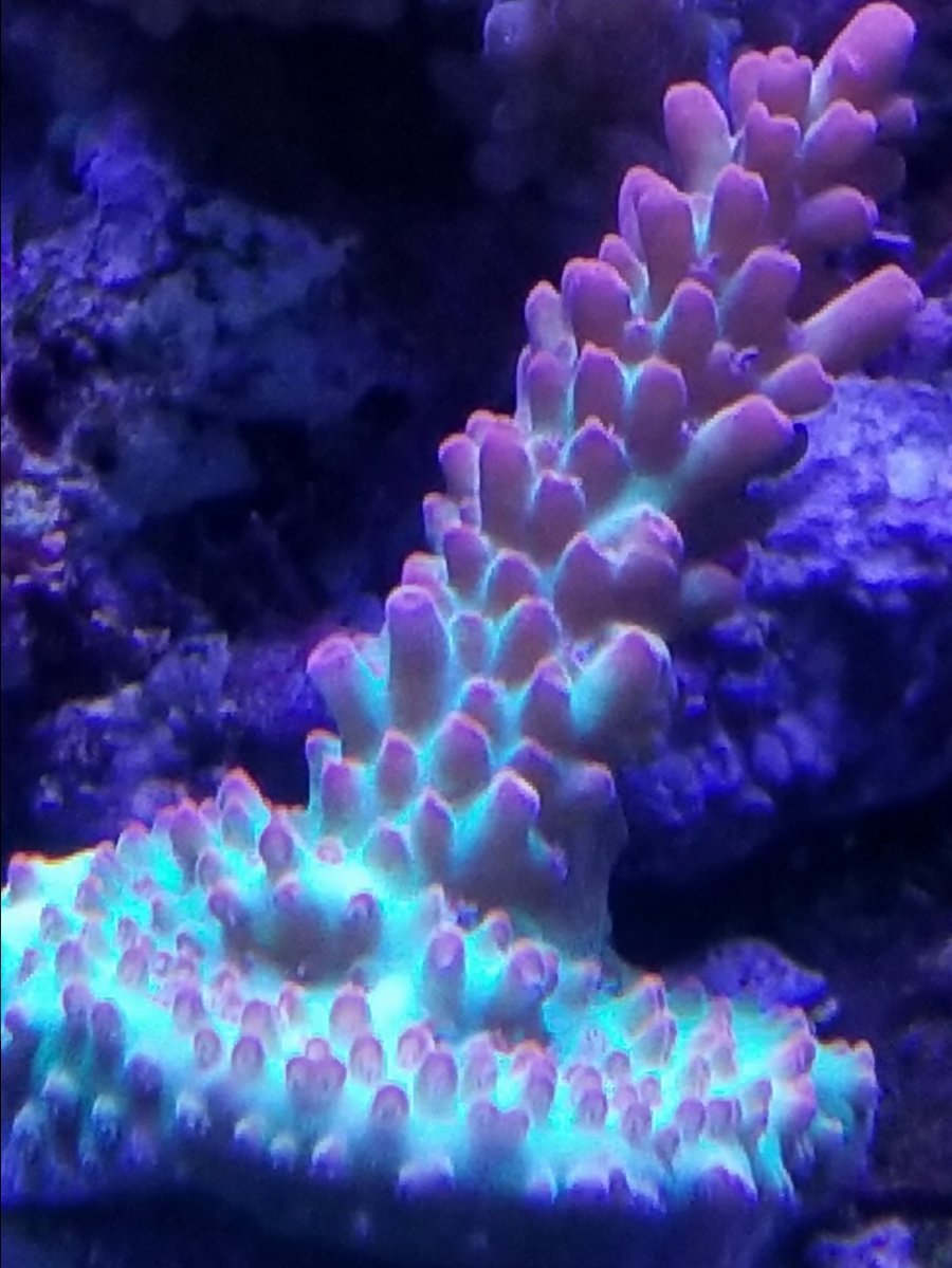 20180304_174259.jpg