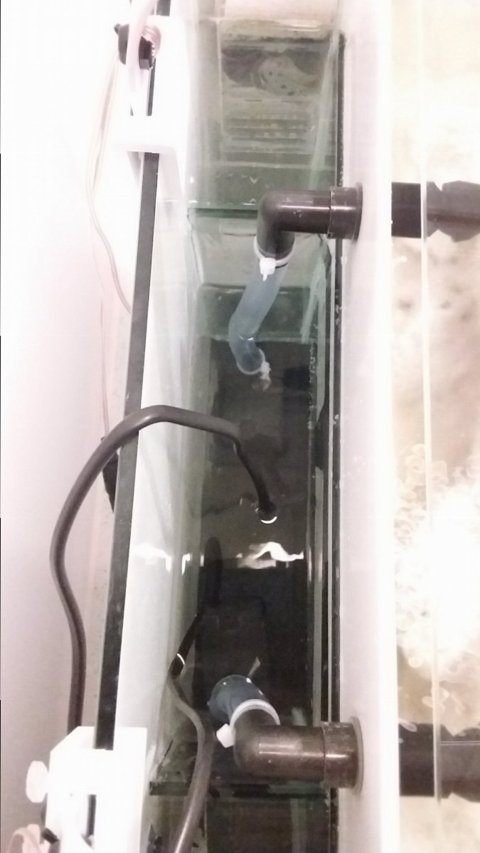 20180304_191441.jpg