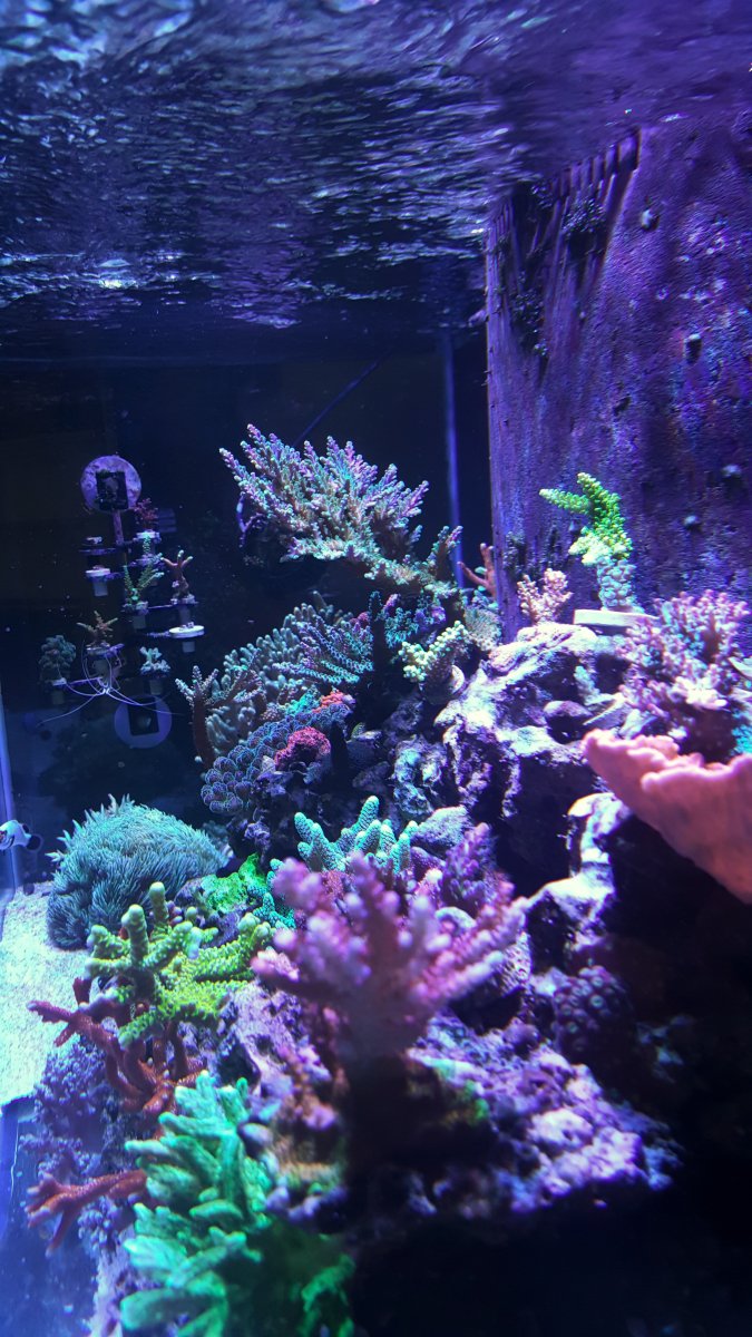 20180305_114103-01.jpeg