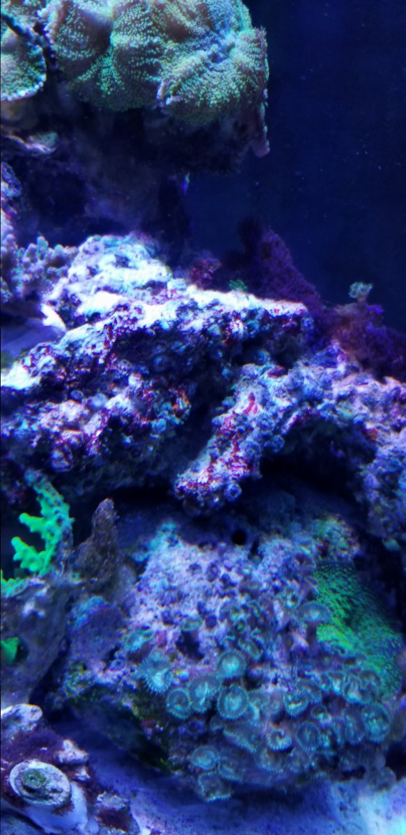 20180306_151401.jpg