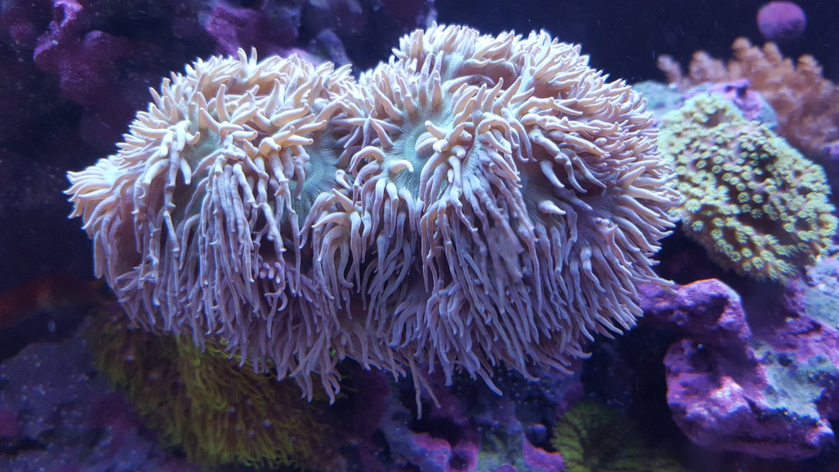 20180306_200328.jpg