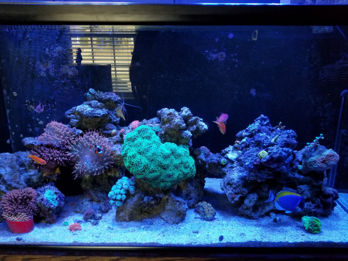 20180308_084952.jpg