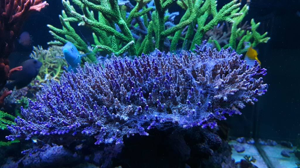 20180311_211038.jpeg