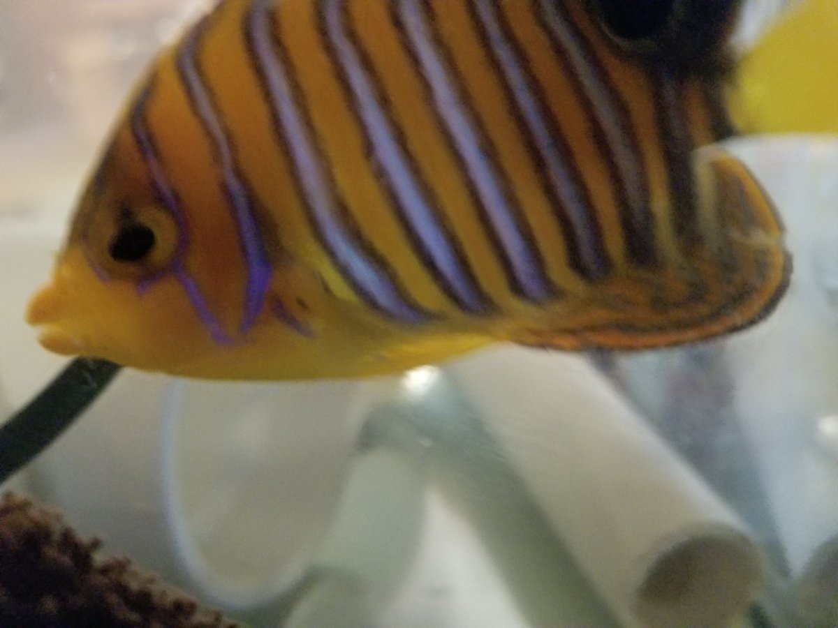 20180313_120703.jpg
