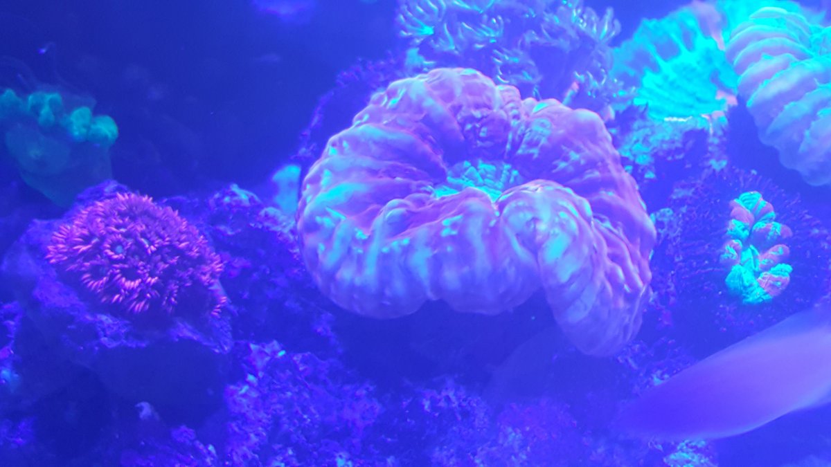20180314_122746.jpg