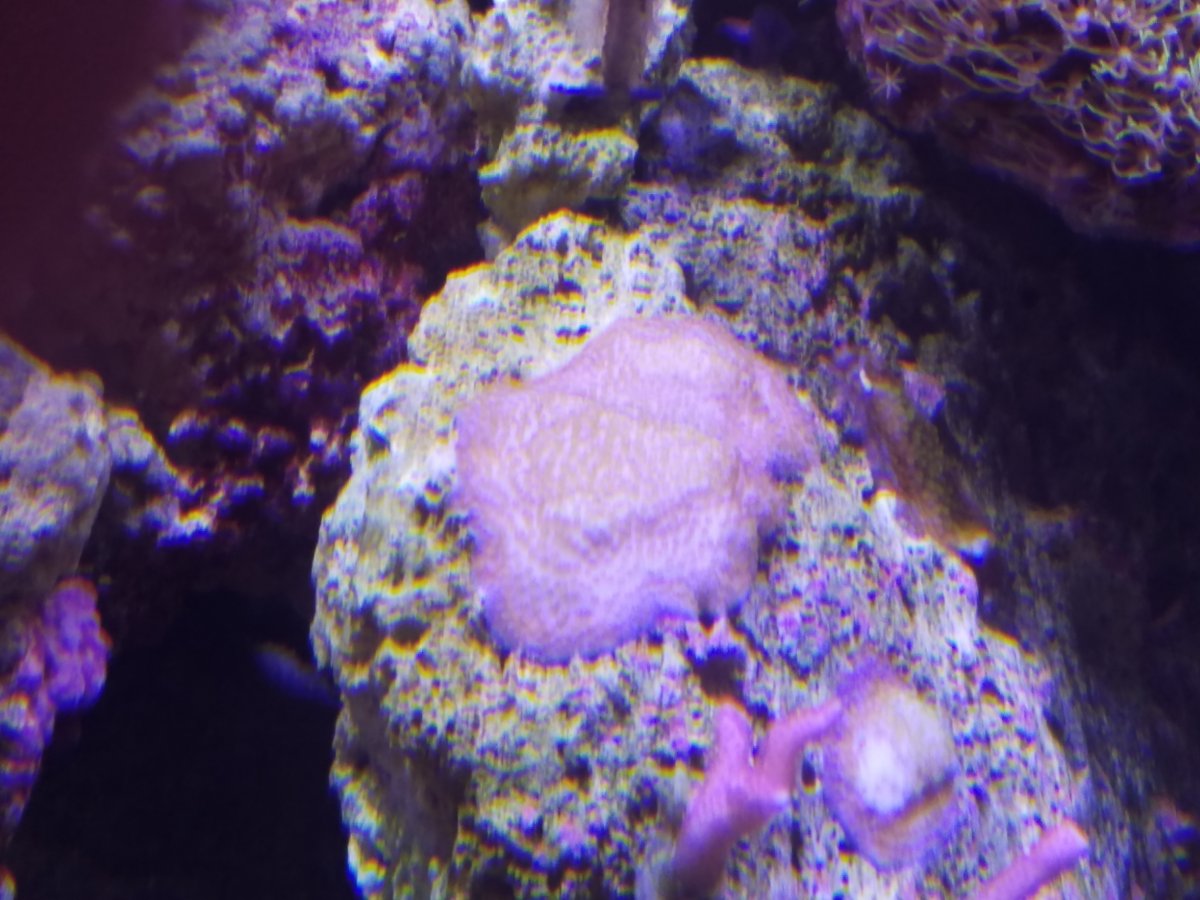 20180316_222833.jpg