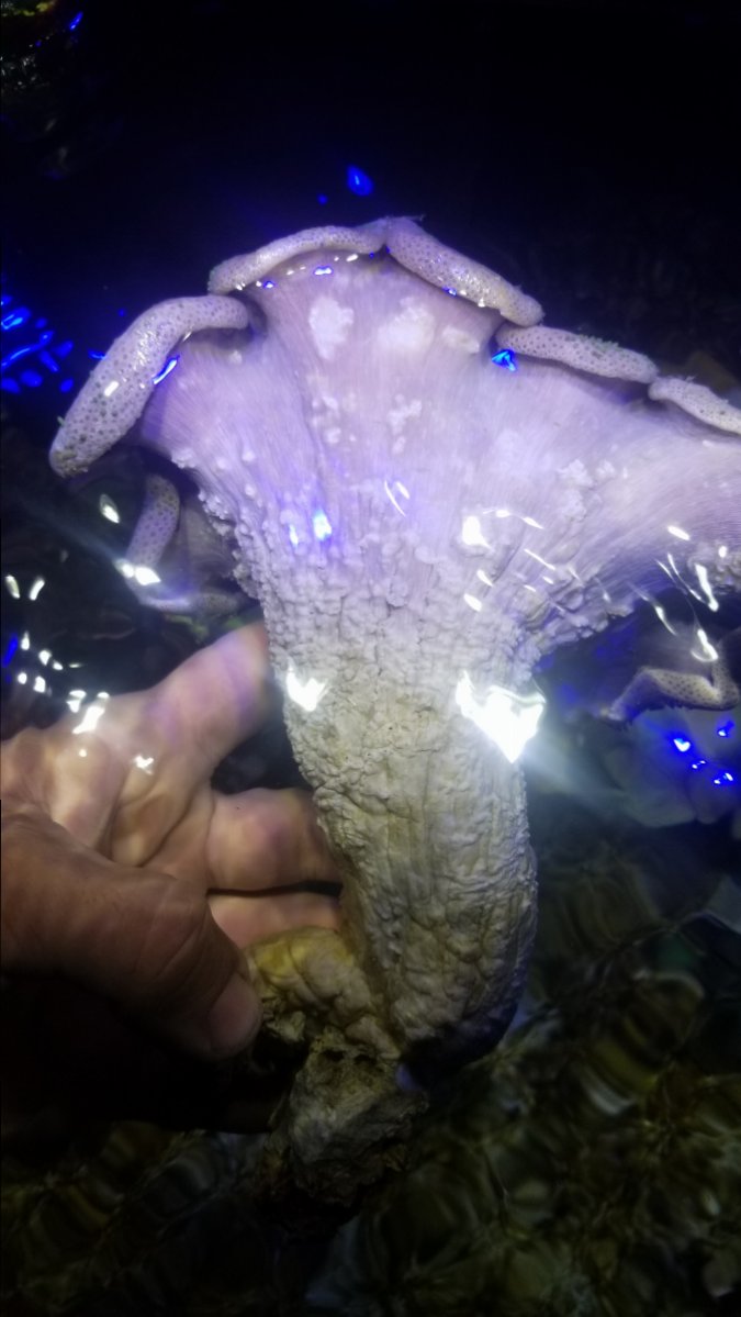 20180319_190125.jpg
