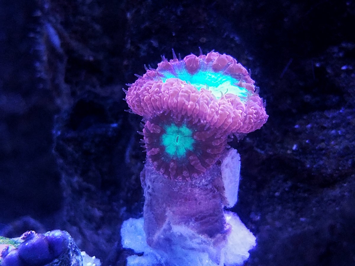 20180319_202649-01.jpeg