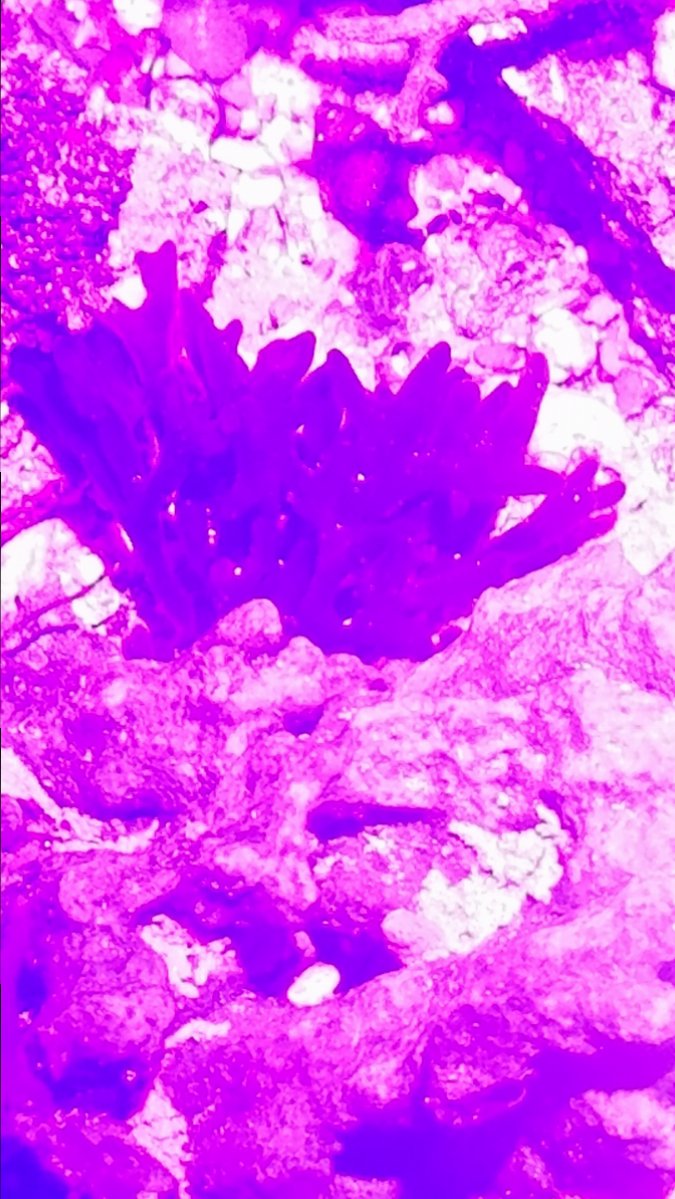 20180320_054351.jpg