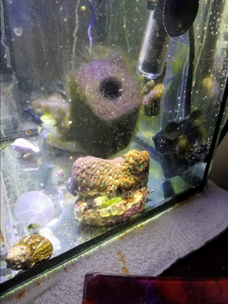 20180322_074140.jpg