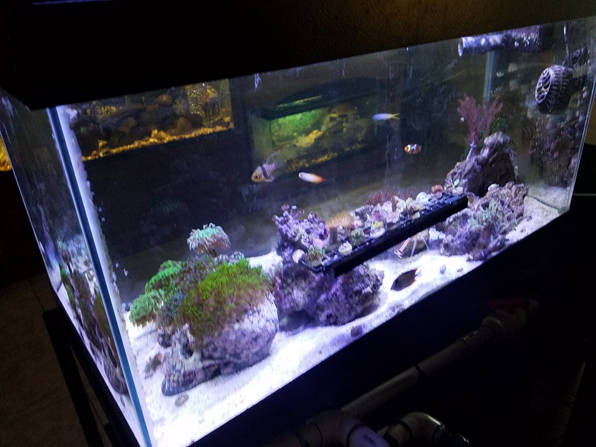 20180322_183632.jpg
