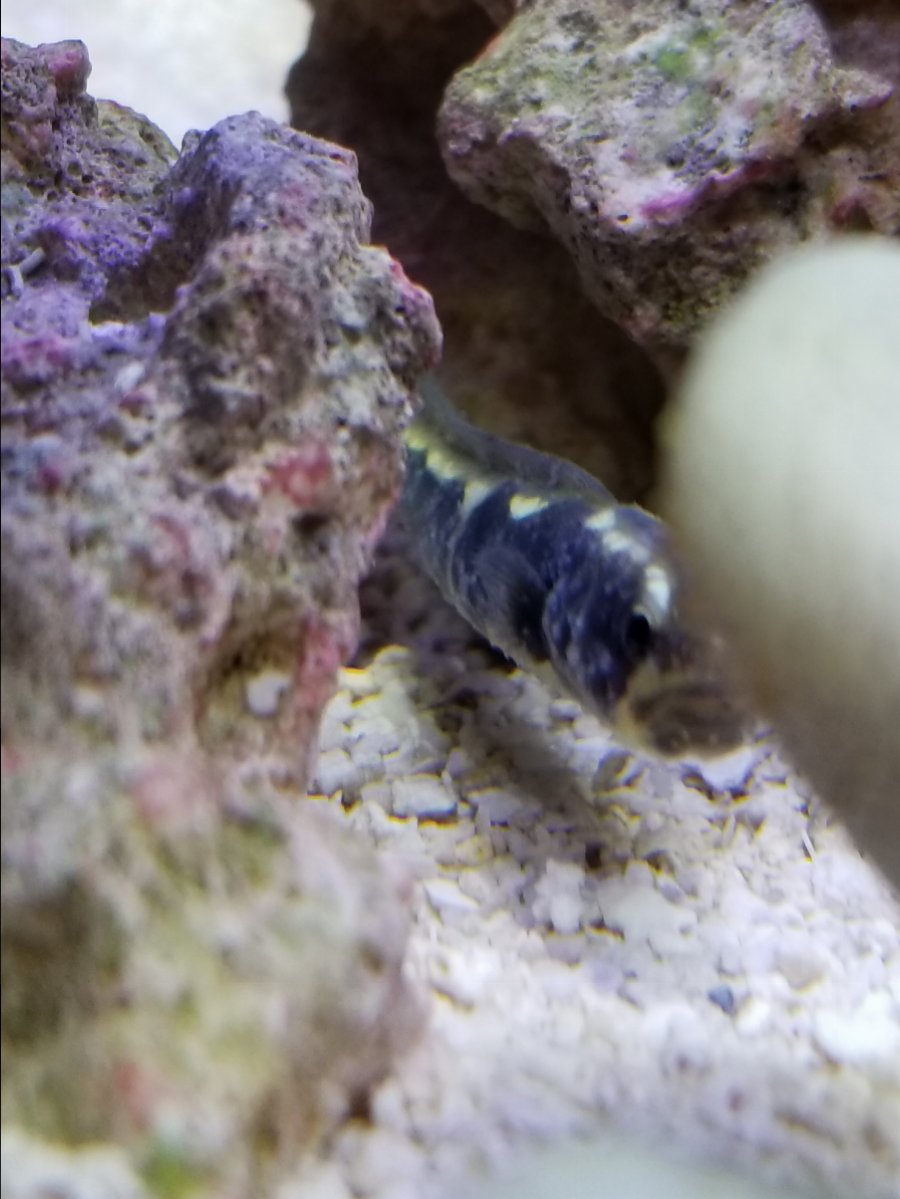 20180322_205732.jpg
