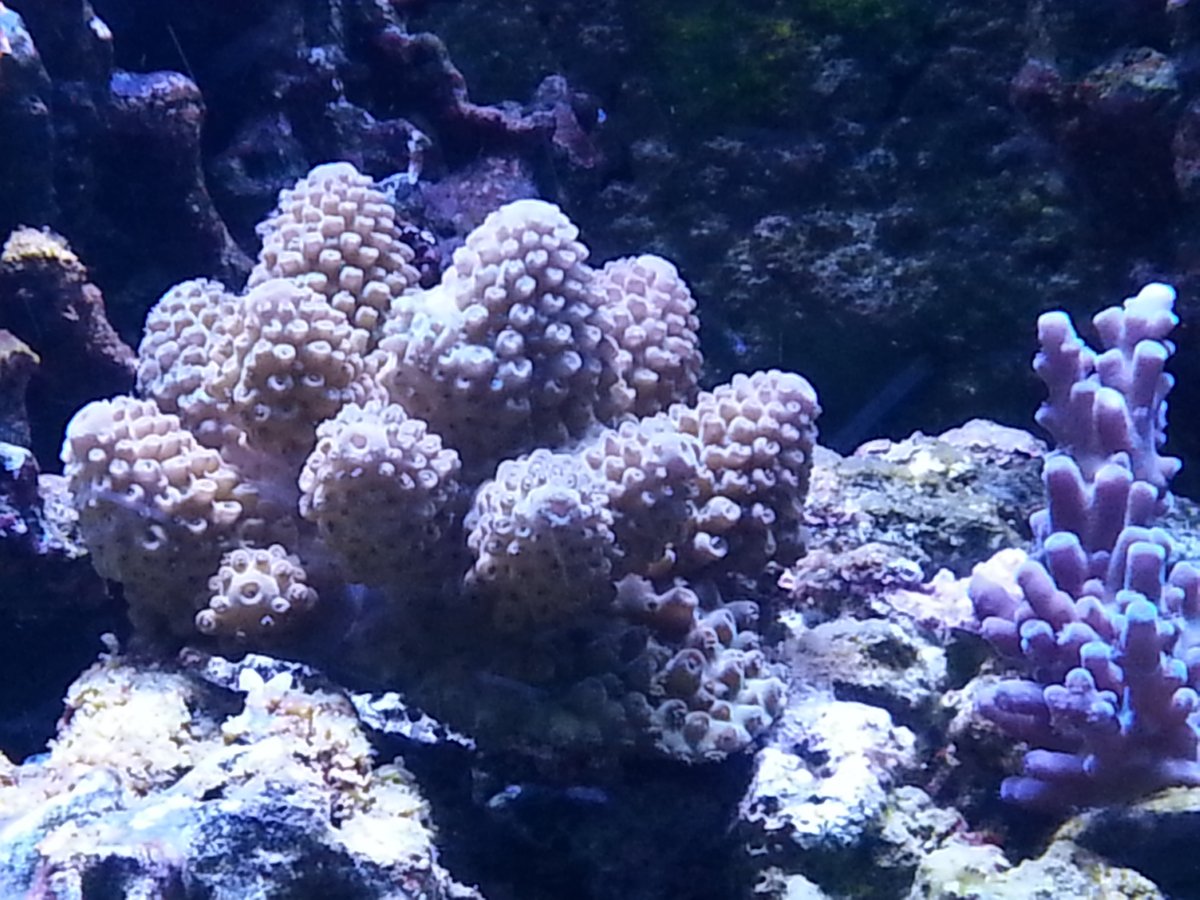 20180324_132547.jpg