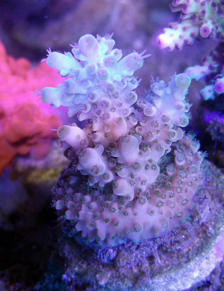 20180324_152135.jpg