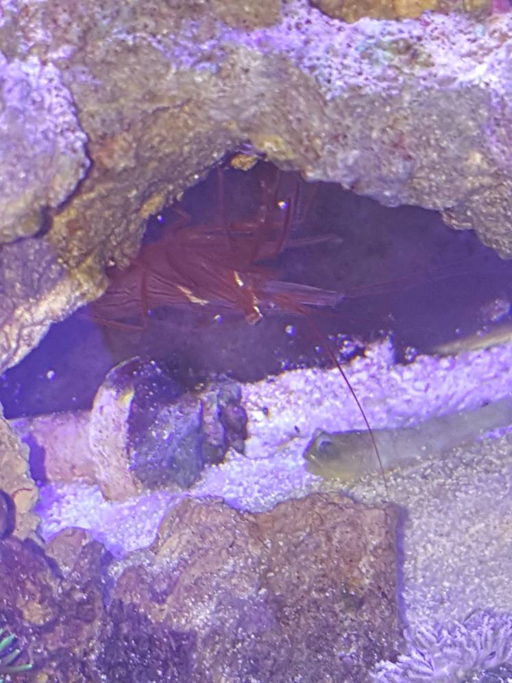 20180326_102216.jpg