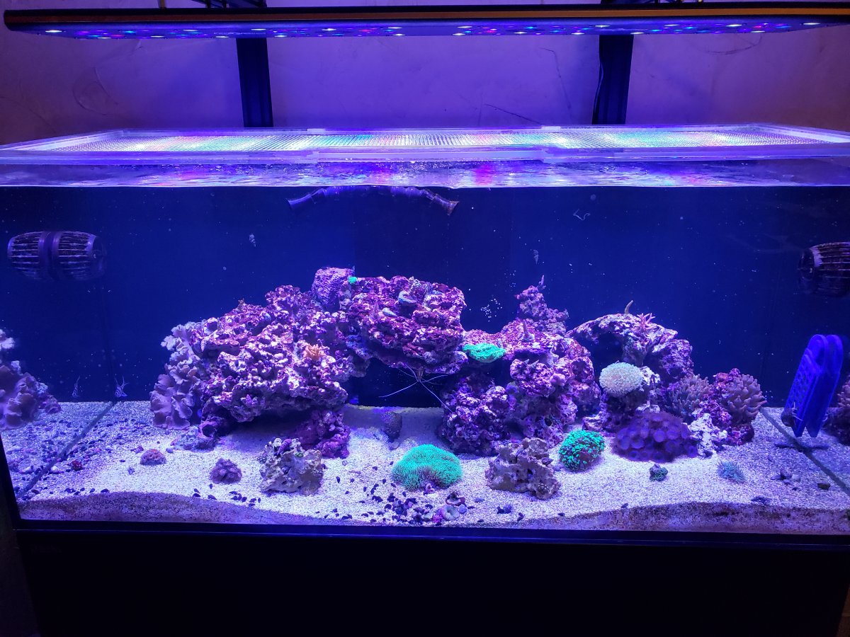 20180326_214610.jpg