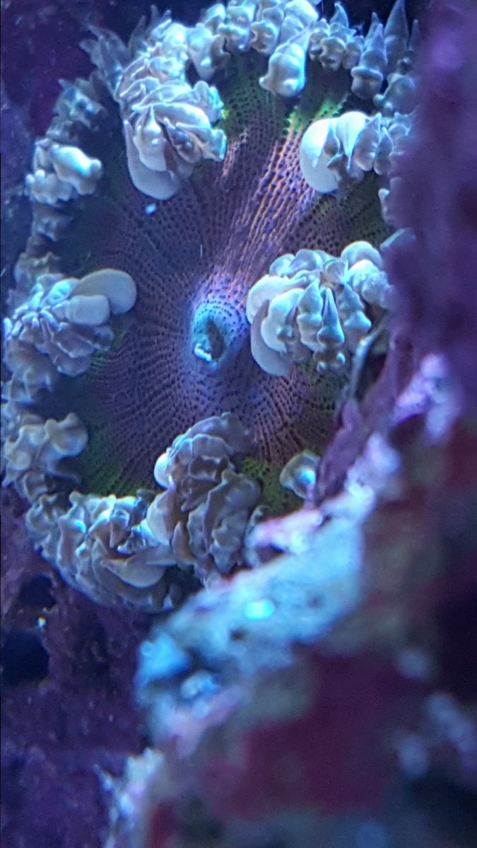 20180328_145751.jpg
