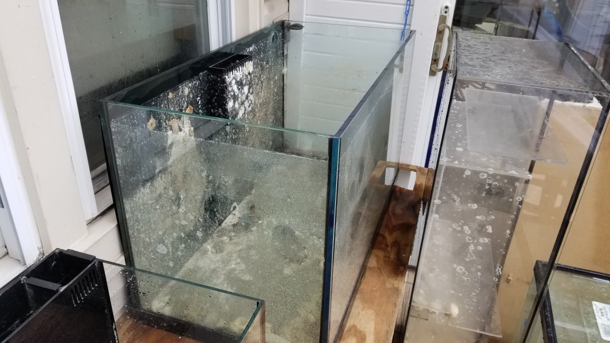 New Jersey - FS: Deep Blue Rimless 57 Gal Rimless EDGE w/ Stand | Reef2Reef