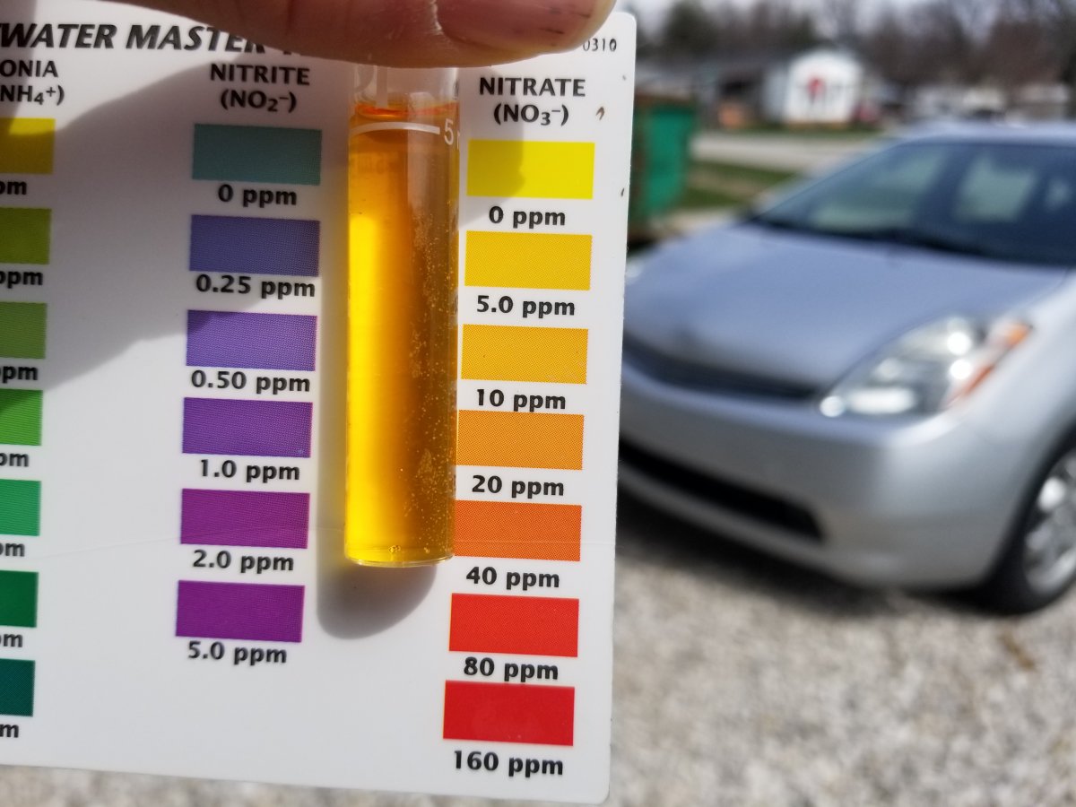 Api Saltwater Test Kit Color Chart