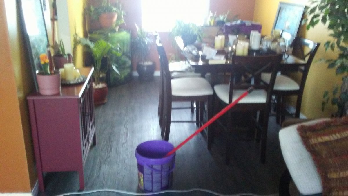 20180331_191017.jpg