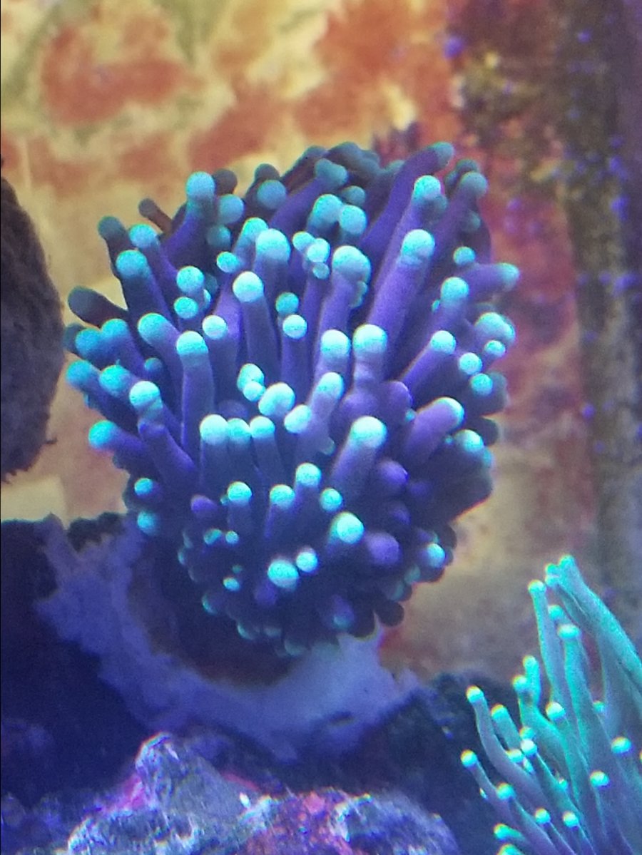 20180401_180941.jpg
