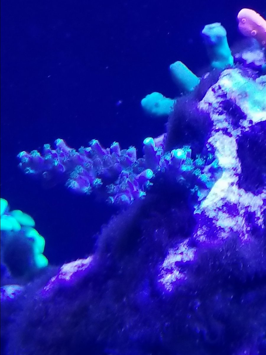 20180401_204258.jpg